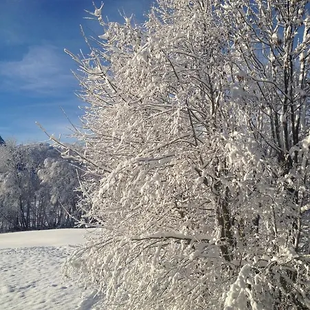 A Place 2 Be, Centre * Megeve